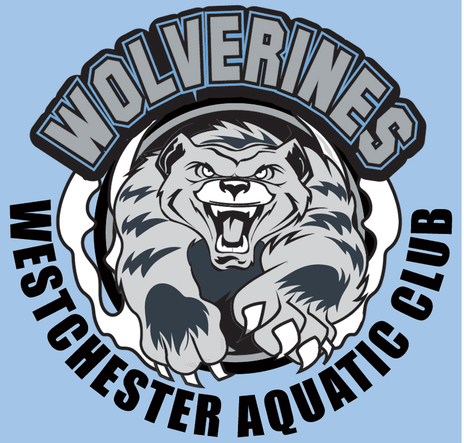 Wolverines Logo